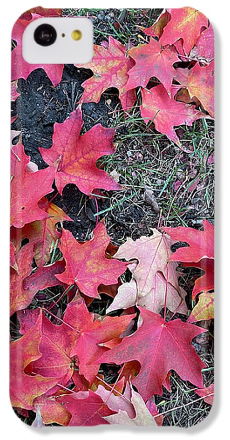 Maple Leaves In October 4 - Phone Case