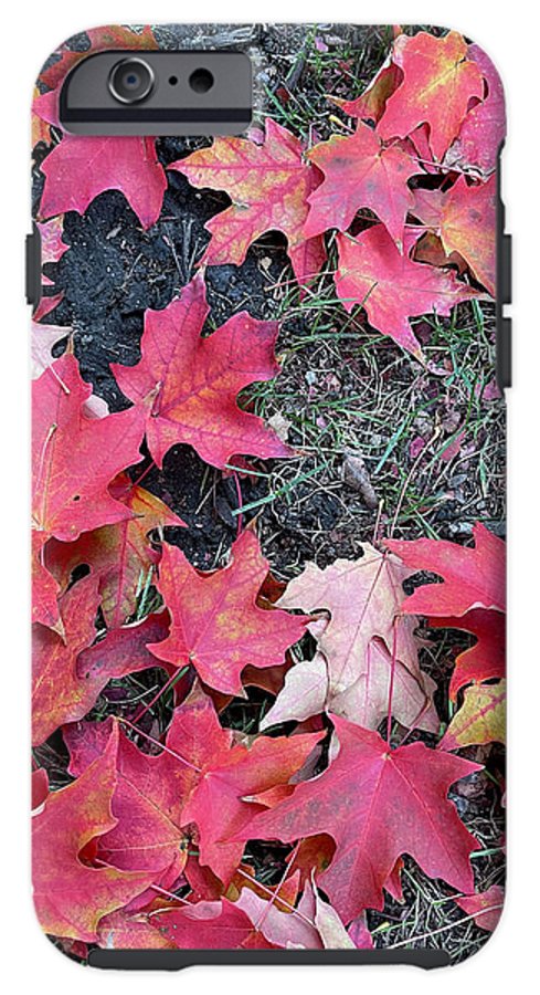 Maple Leaves In October 4 - Phone Case