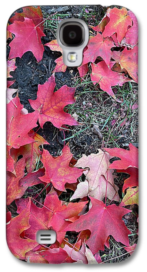 Maple Leaves In October 4 - Phone Case