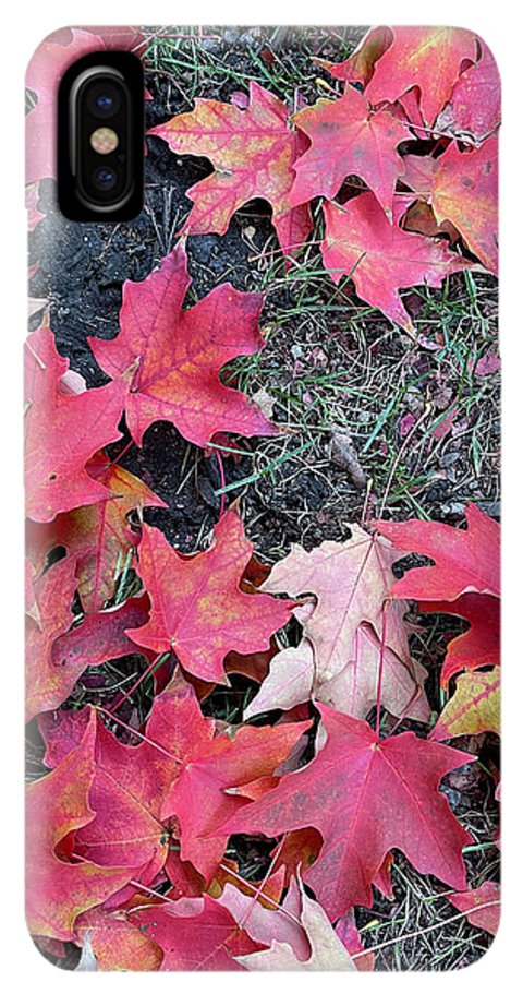 Maple Leaves In October 4 - Phone Case