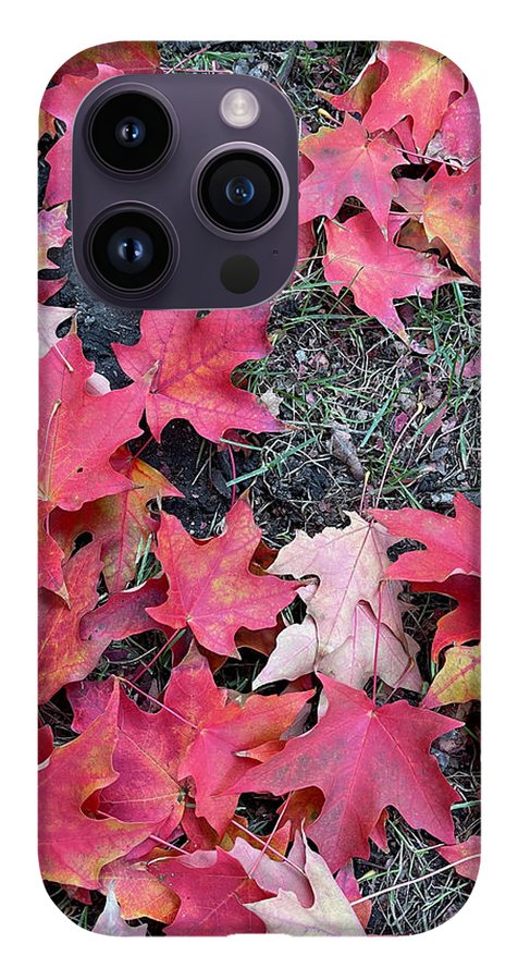 Maple Leaves In October 4 - Phone Case