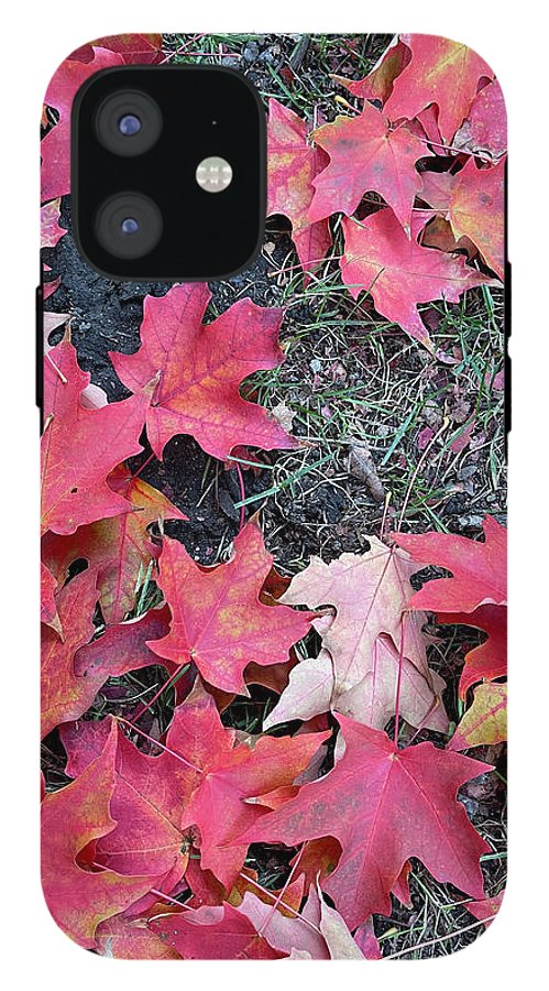 Maple Leaves In October 4 - Phone Case