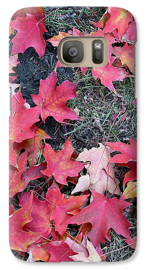 Maple Leaves In October 4 - Phone Case