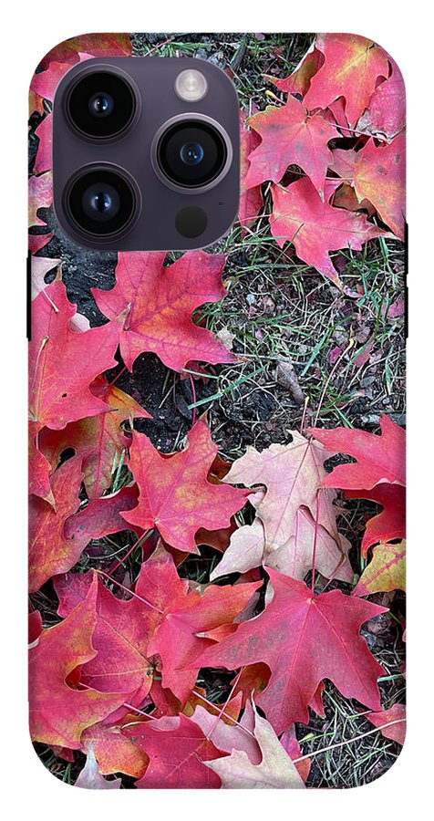 Maple Leaves In October 4 - Phone Case