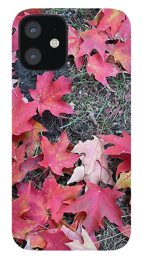 Maple Leaves In October 4 - Phone Case