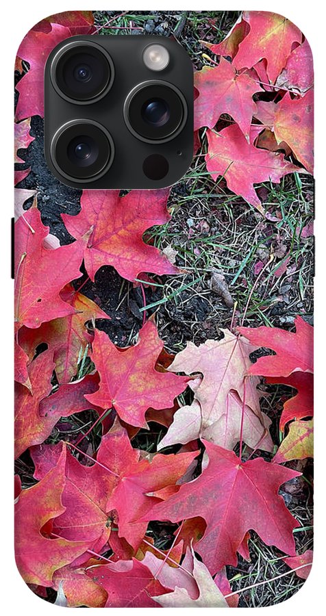 Maple Leaves In October 4 - Phone Case
