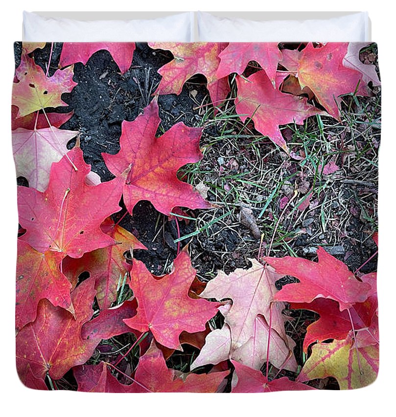 Maple Leaves In October 4 - Duvet Cover