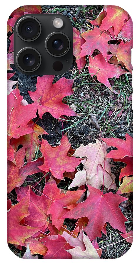 Maple Leaves In October 4 - Phone Case