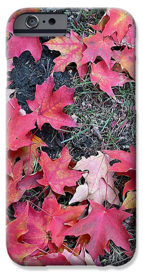 Maple Leaves In October 4 - Phone Case