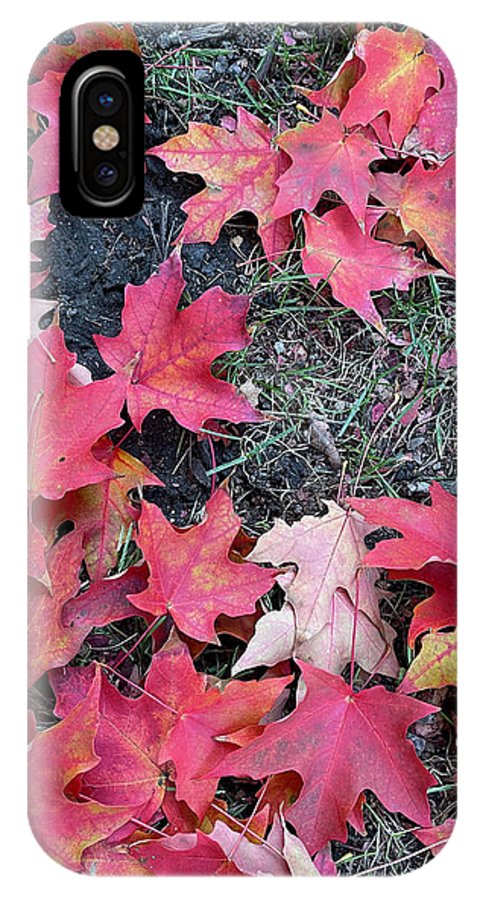 Maple Leaves In October 4 - Phone Case
