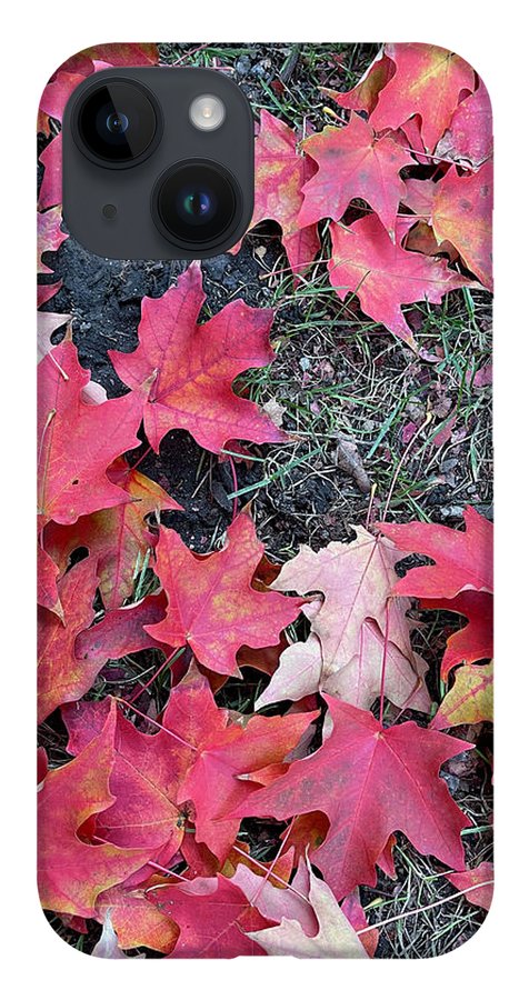 Maple Leaves In October 4 - Phone Case
