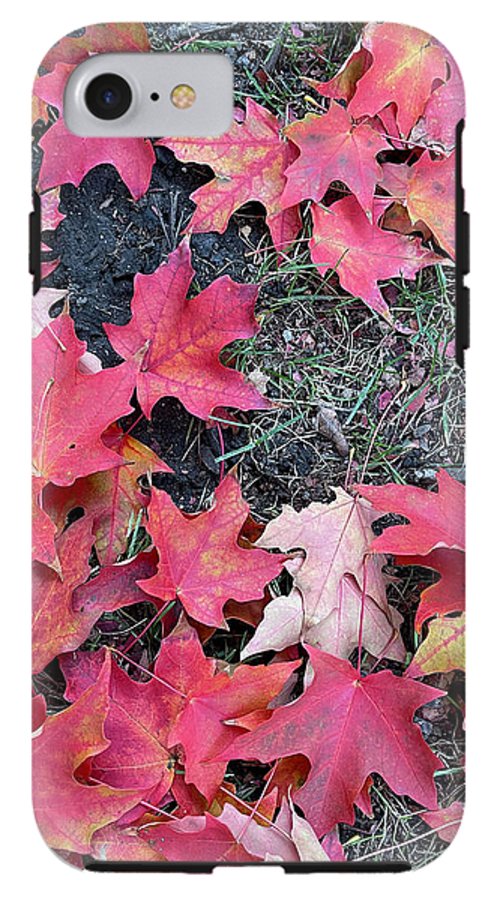 Maple Leaves In October 4 - Phone Case