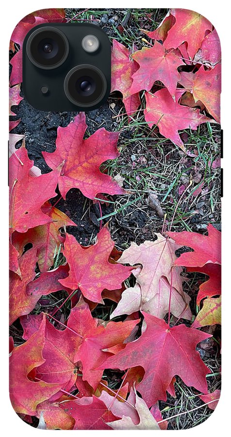 Maple Leaves In October 4 - Phone Case