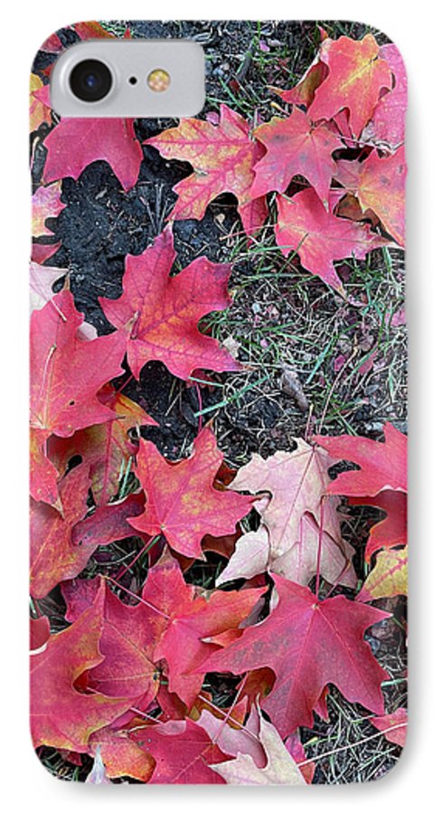 Maple Leaves In October 4 - Phone Case
