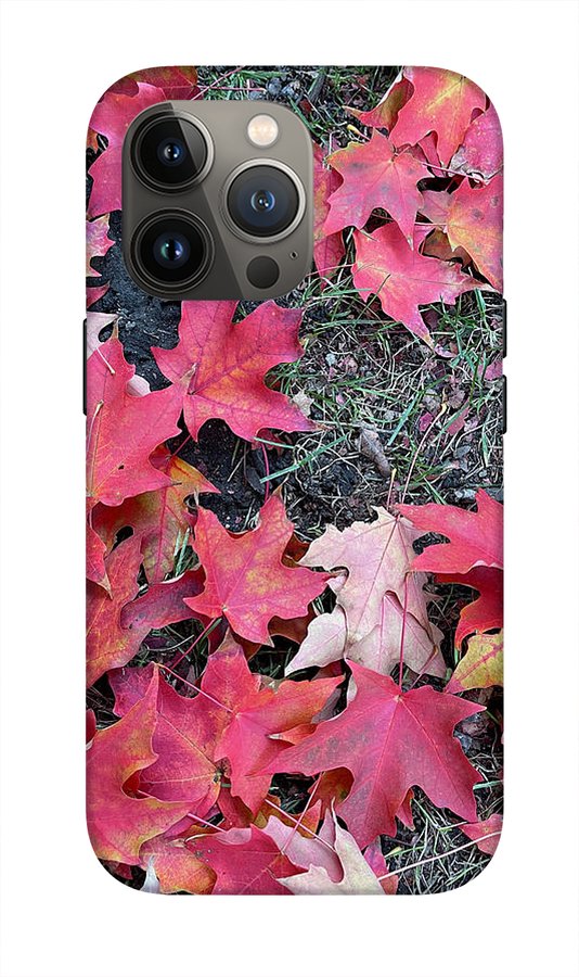 Maple Leaves In October 4 - Phone Case