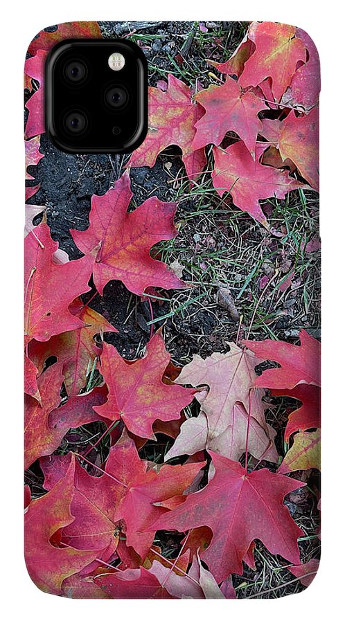 Maple Leaves In October 4 - Phone Case