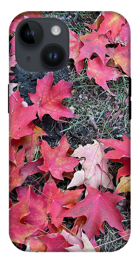 Maple Leaves In October 4 - Phone Case