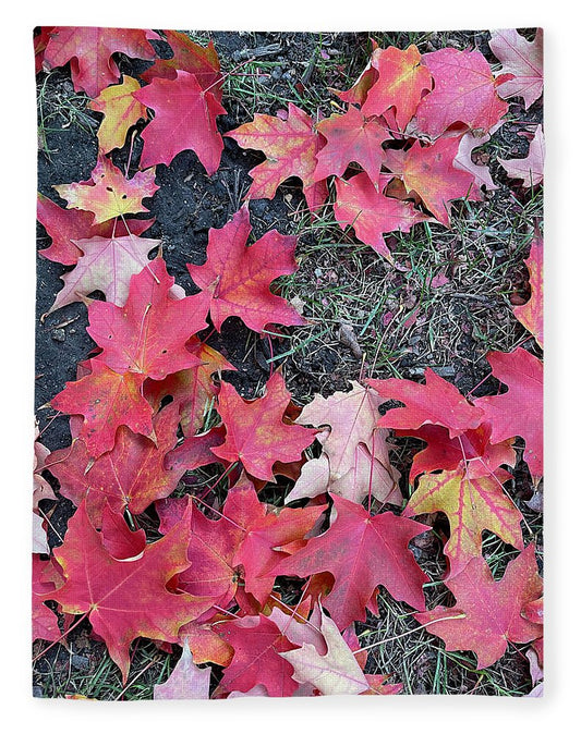 Maple Leaves In October 4 - Blanket