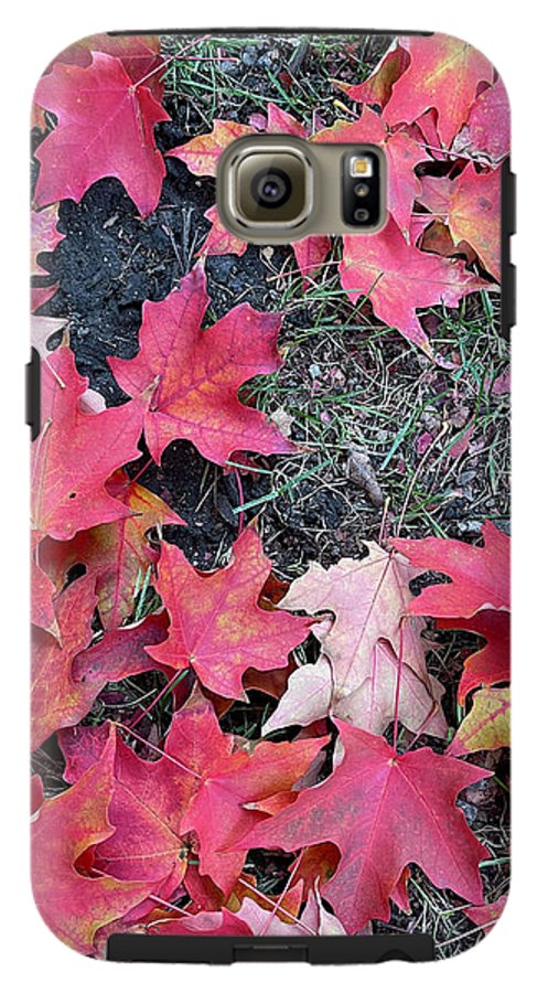 Maple Leaves In October 4 - Phone Case