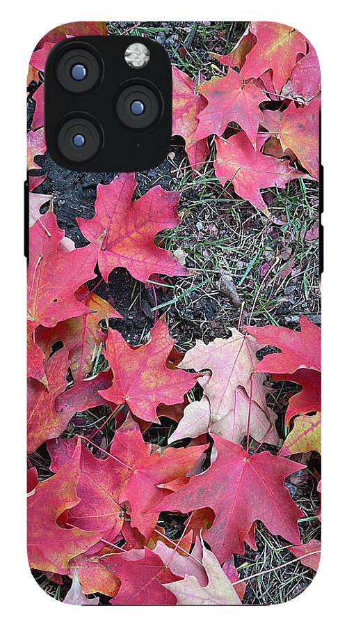 Maple Leaves In October 4 - Phone Case