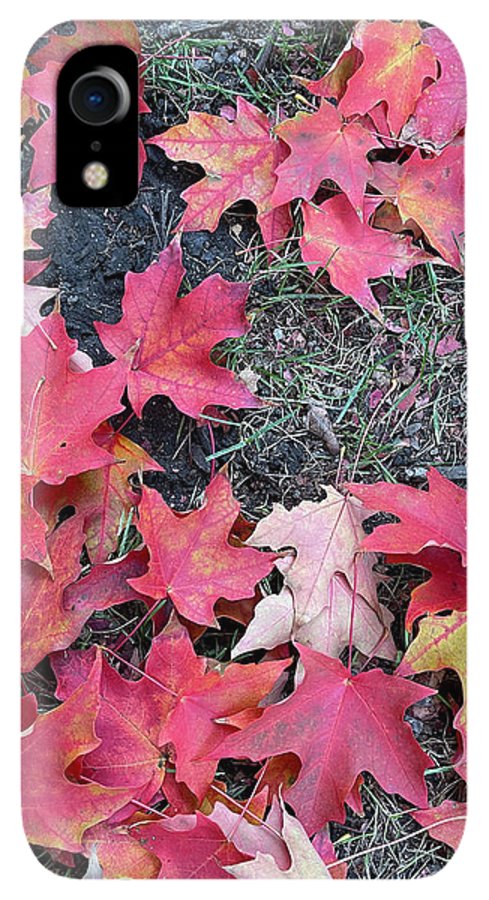 Maple Leaves In October 4 - Phone Case