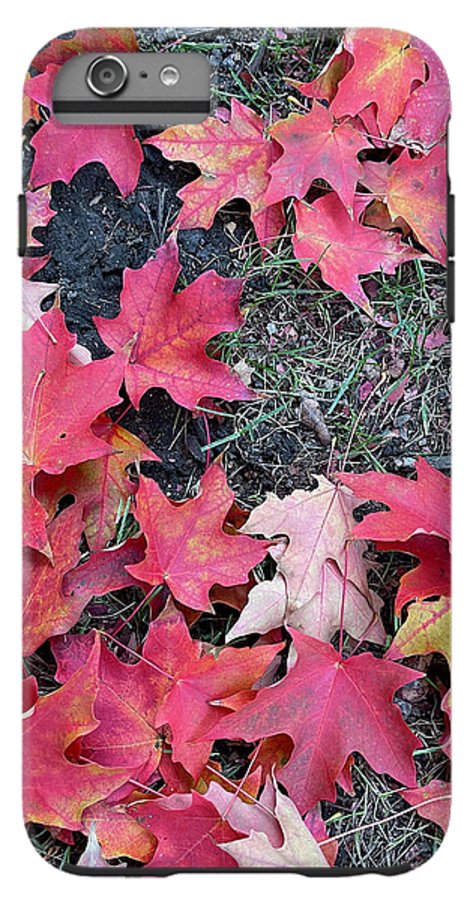 Maple Leaves In October 4 - Phone Case
