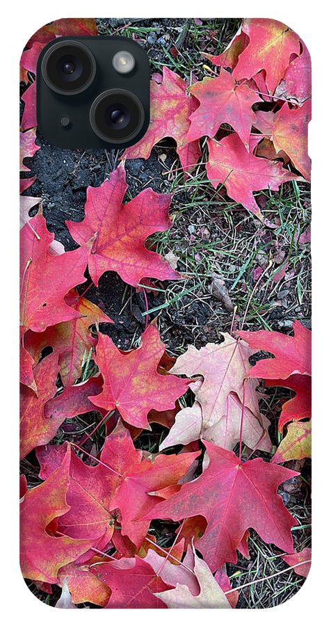 Maple Leaves In October 4 - Phone Case