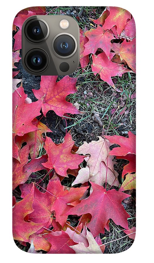 Maple Leaves In October 4 - Phone Case
