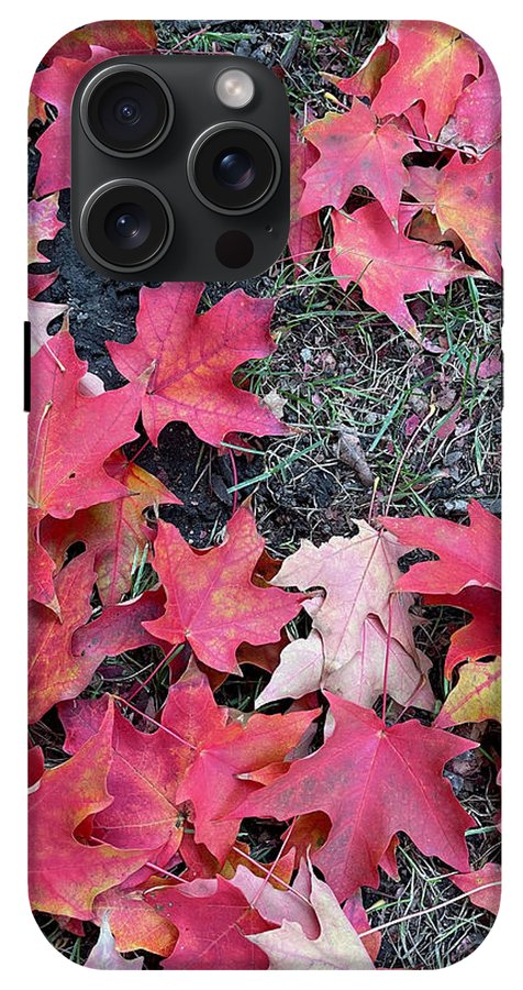 Maple Leaves In October 4 - Phone Case