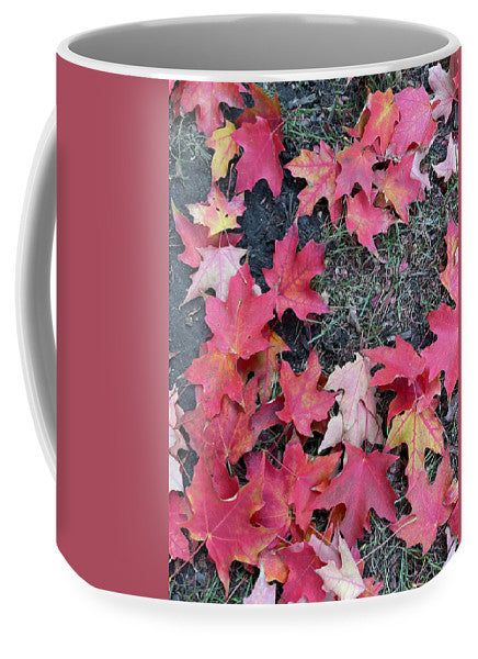 Maple Leaves In October 4 - Mug