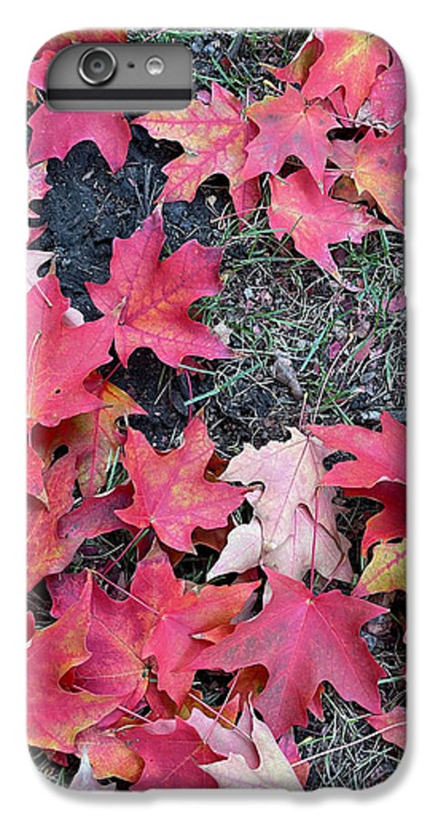 Maple Leaves In October 4 - Phone Case