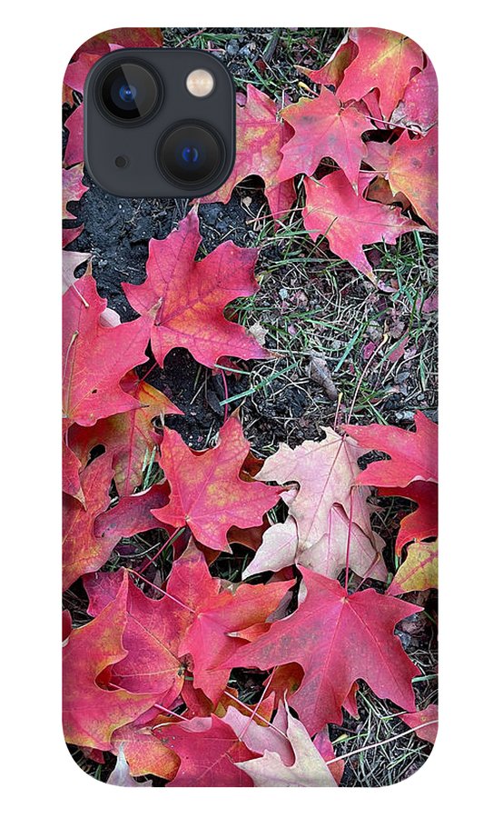 Maple Leaves In October 4 - Phone Case