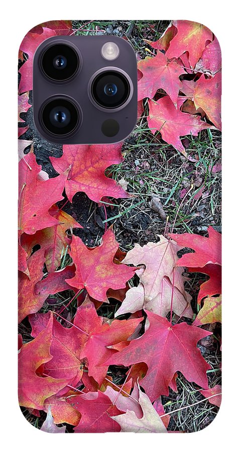 Maple Leaves In October 4 - Phone Case
