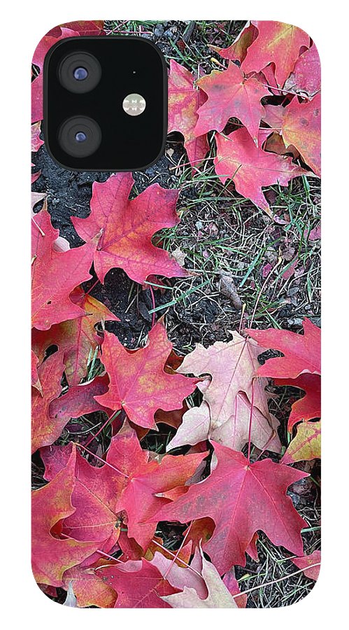 Maple Leaves In October 4 - Phone Case