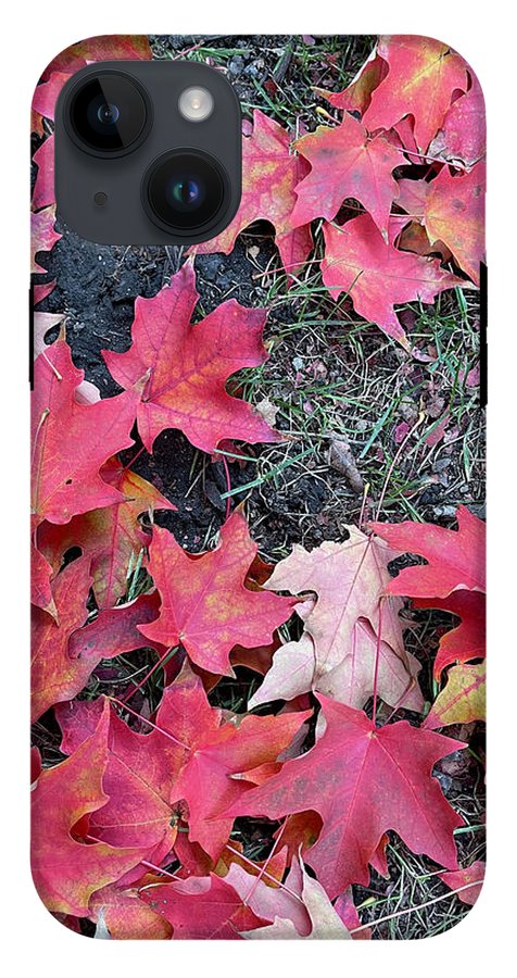 Maple Leaves In October 4 - Phone Case