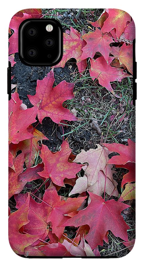 Maple Leaves In October 4 - Phone Case