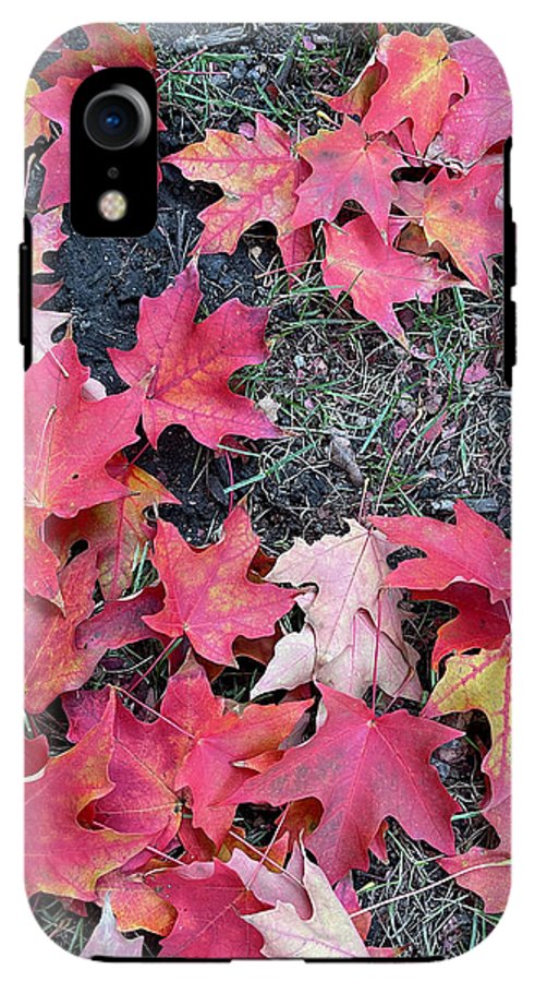 Maple Leaves In October 4 - Phone Case