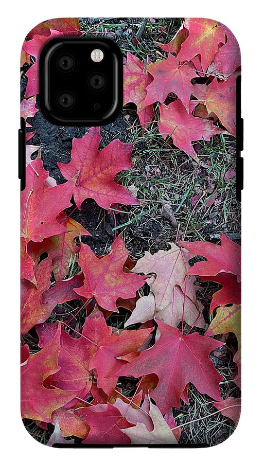 Maple Leaves In October 4 - Phone Case