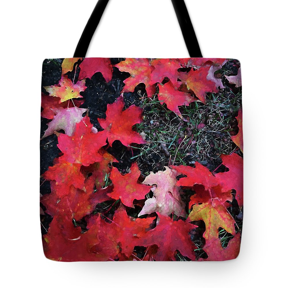 Maple Leaves In October 5 - Tote Bag