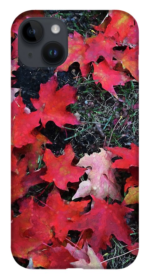 Maple Leaves In October 5 - Phone Case