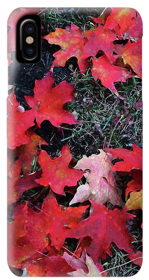Maple Leaves In October 5 - Phone Case