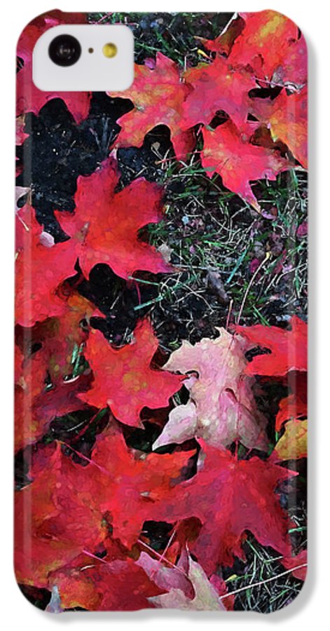 Maple Leaves In October 5 - Phone Case