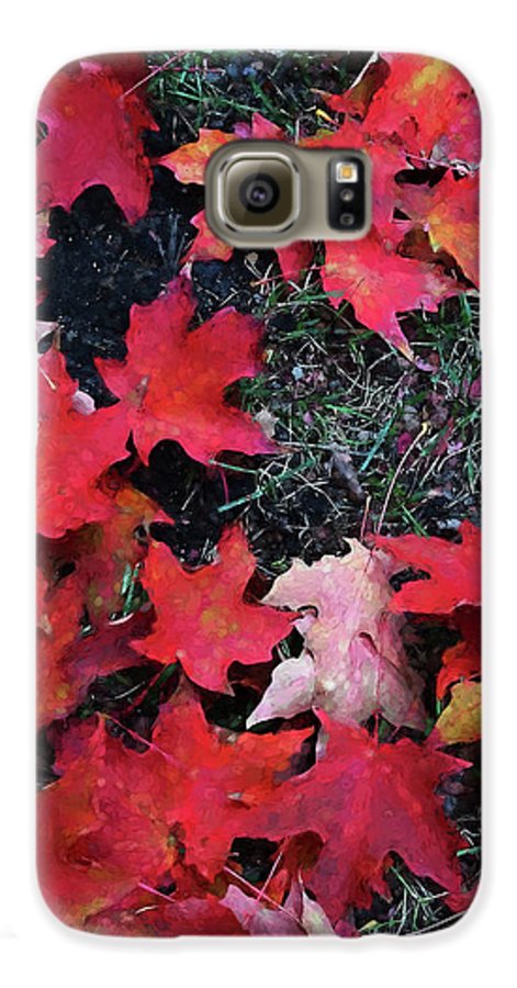 Maple Leaves In October 5 - Phone Case