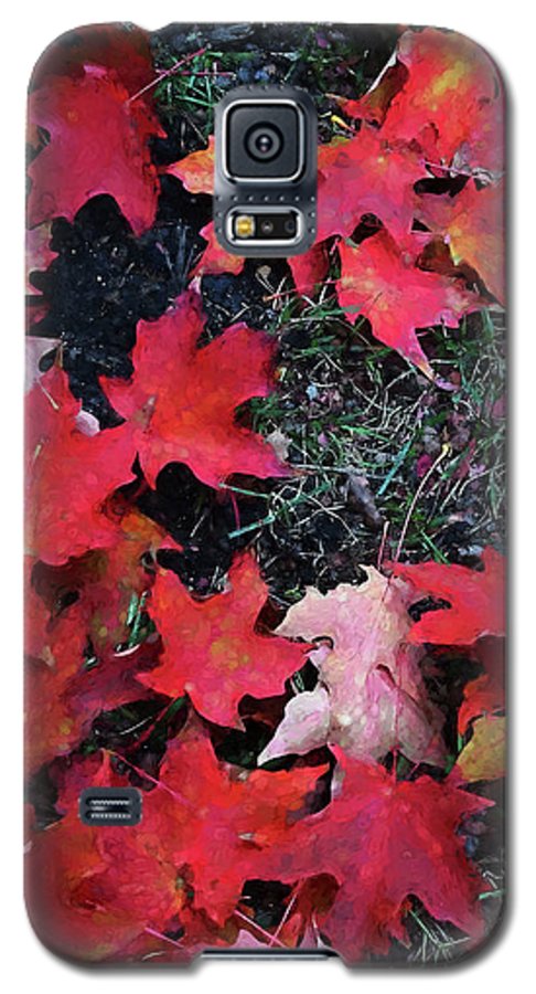 Maple Leaves In October 5 - Phone Case