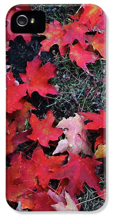 Maple Leaves In October 5 - Phone Case
