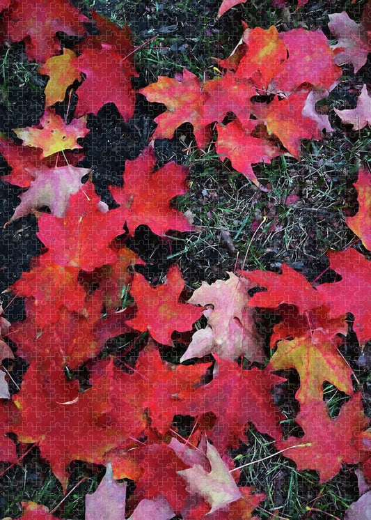 Maple Leaves In October 5 - Puzzle