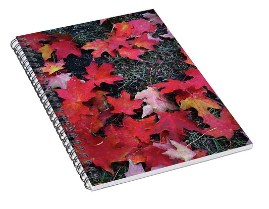 Maple Leaves In October 5 - Spiral Notebook