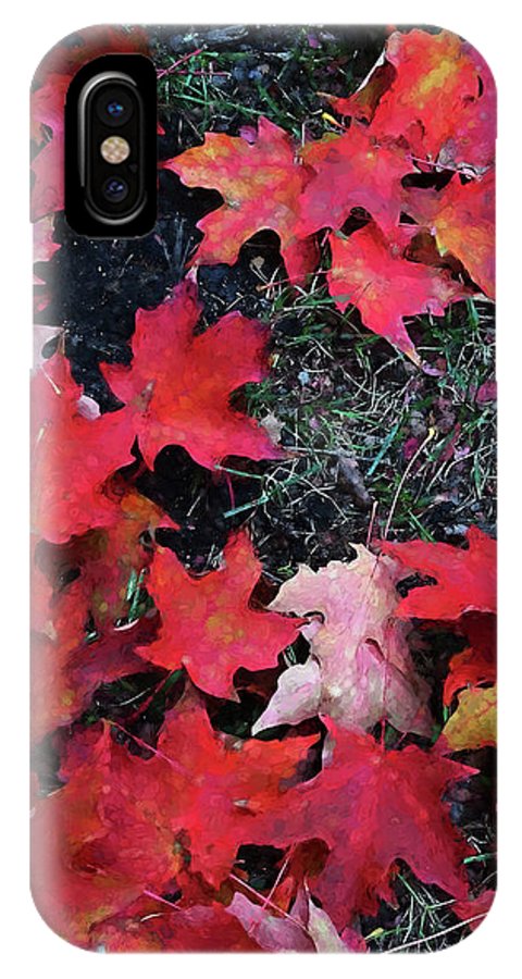 Maple Leaves In October 5 - Phone Case