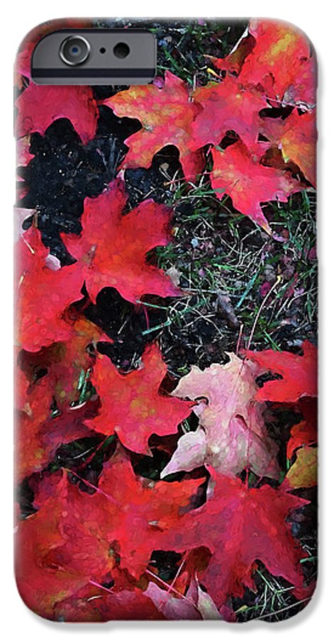 Maple Leaves In October 5 - Phone Case