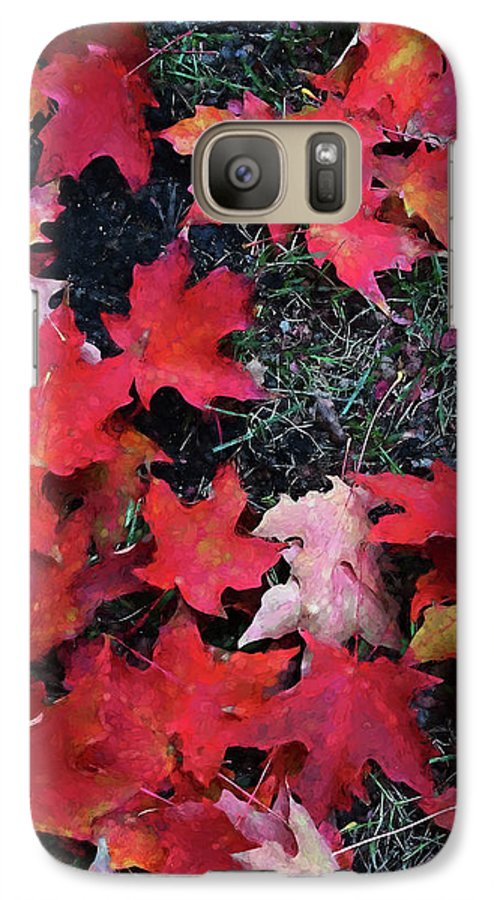 Maple Leaves In October 5 - Phone Case